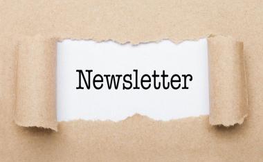 Why Every Authorpreneur Needs a Newsletter: My Take