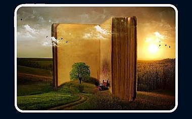 Book Fairs: You Can Never Have Too Many Books