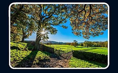 July Journal: Family, Friends, And Outdoor Activities