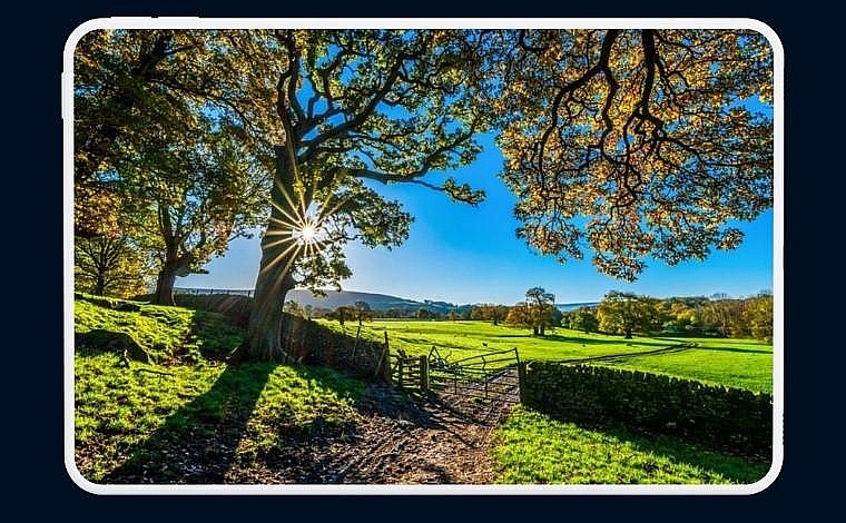 In July, I visited family and friends, and made progress on my Tales from the...